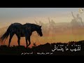 لسان البادية لش ه ب ما ي ت ن س اش حينما يرثي الفارس حصانه