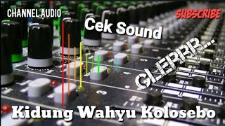 CEK SOUND KIDUNG WAHYU KOLOSEBO | Dangdut Koplo | Glerrr..