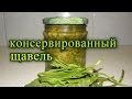 Щавель на зиму. консервированный  пятиминутка