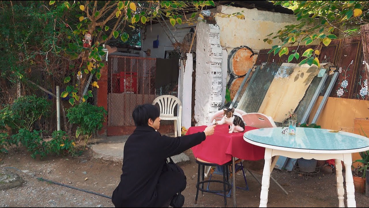 Drunk on Greek Light