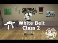 Shotokan Karate Follow Along Class - 9th Kyu White Belt - Class #2
