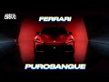 FERRARI PUROSANGUE V12!