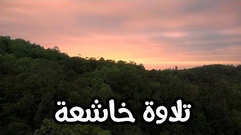 تلاوة مبكية مؤثرة __ فإذا جاءت الصاخة __ حالات واتس اب قرأن __ Quran Status _ الشيخ ياسر الدوسري 🌹🌹