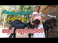 Goats farming malayalamquality goat farm in keralagoat farming malayalam  