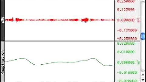 S12 Data - Respiration - Biopac Science Lab