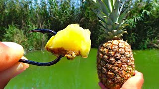 Pescuit la crapi uriasi cu ananas 🍍🍍🍍