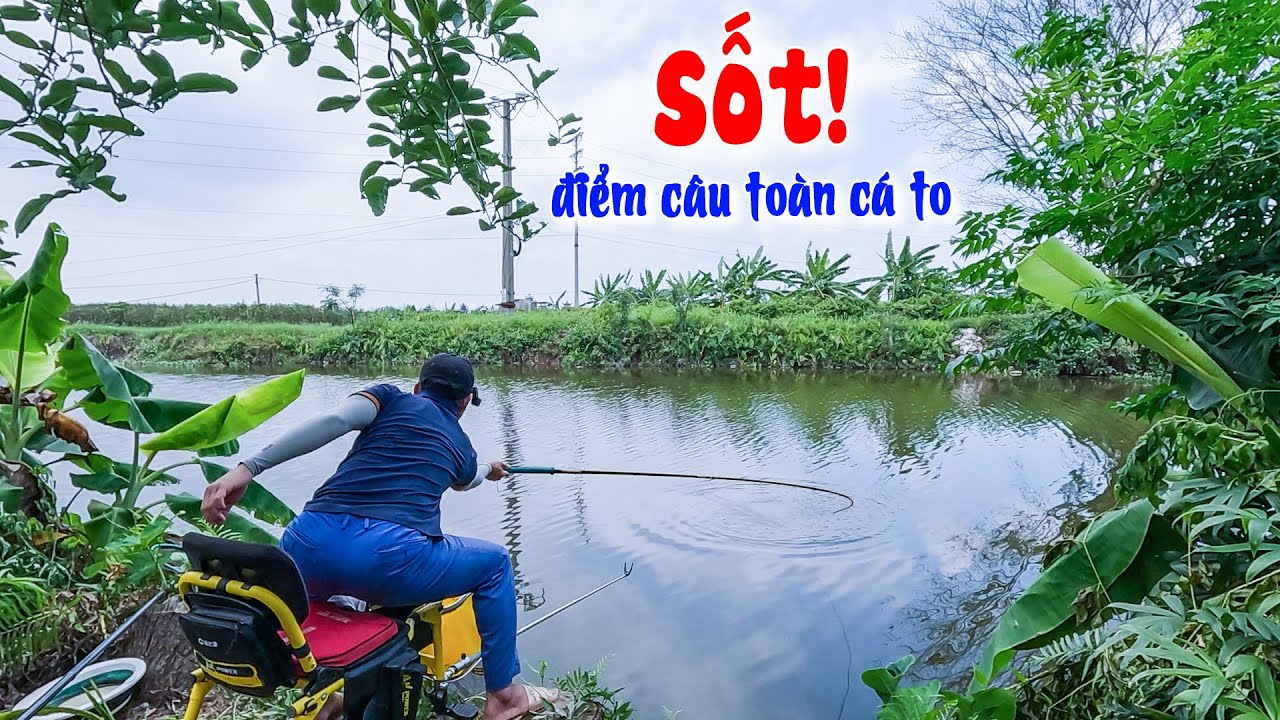 Câu Cá Diếc - Điểm câu nhiều cá to, anh em đến nhanh còn kịp