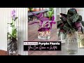 14 Beautiful Purple Plants You Can Grow in Water #plantlover