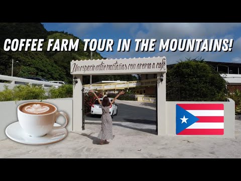 Video: Kaffe i Puerto Rico