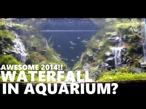 3D Aquarium Background with Waterfall effect  FunnyCat.TV