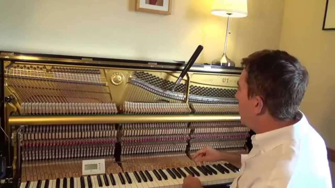 Afinación de piano afinar la nota LA 440 de referencia YouTube Afinación de piano afinar la nota LA 440 de referencia YouTube