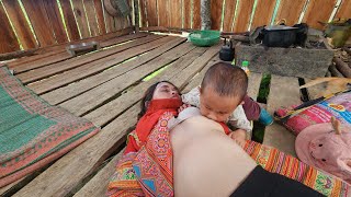 Download Lagu Smart boy, dig ginger to sell to buy food for mother MP3 Download Lagu Smart boy, dig ginger to sell to buy food for mother MP3