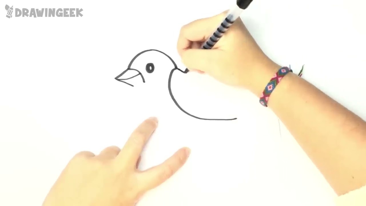 Birds Easy To Draw - Draw Spaces