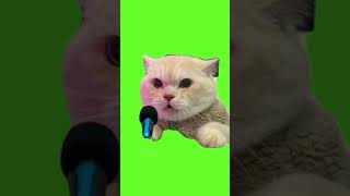 cat singing #cat #shortsvideo #greenscreen #smile #greenscreenvideo#catsinging