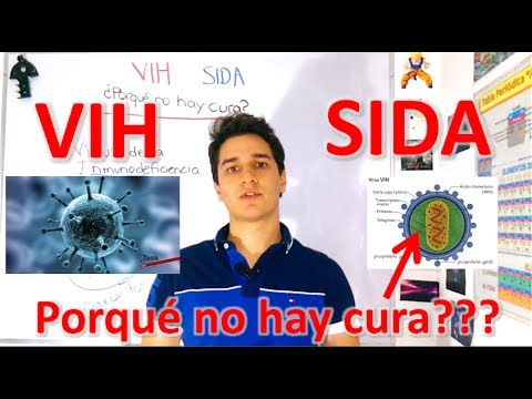 Vídeo: Una Cura Para El SIDA: ¿una Cuestión De Tiempo?