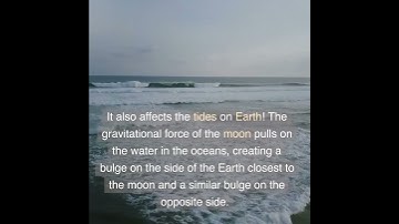 The Moon