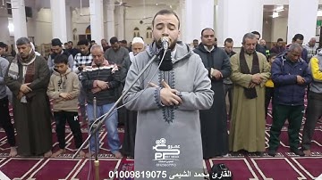 القارئ محمد الشيمى الموهوب صلاة القيام من مسجد العمرى بإبيار