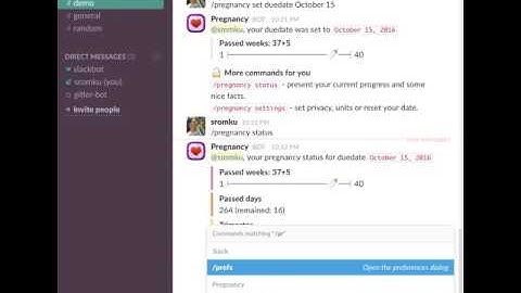 Pregnancy Bot - AWS Serverless Chatbot Competition