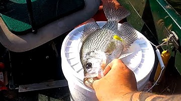 A Simple Way To Find BIG CRAPPIE