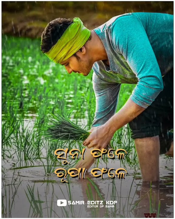 Ae mati ama saha bharasa-odia song whatsapp status 🌿🌿🌿💞💞💞💞💞💞💞💞💞💞💞💞
