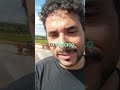 Meu Tanque de Peixes: Crítica à Realidade! Que Peixe Criar? #shorts