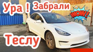 Наконец Забрал свою Tesla Model 3 Standart Plus из Сервиса! Заказ Тесла из Америки