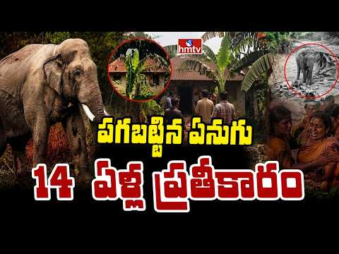 TO THE POINT : పగబట్టిన ఏనుగు 14 ఏళ్ల ప్రతీకారం | hmtv