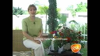 Bruni Torres-Retro Comercial GlaxoSmithKline (Puerto Rico 2001)