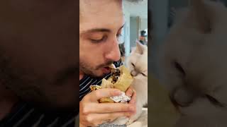 Cat Vs Food #funny #crazycomedy #crazycomedy #catfoods #catshorts #catlovers