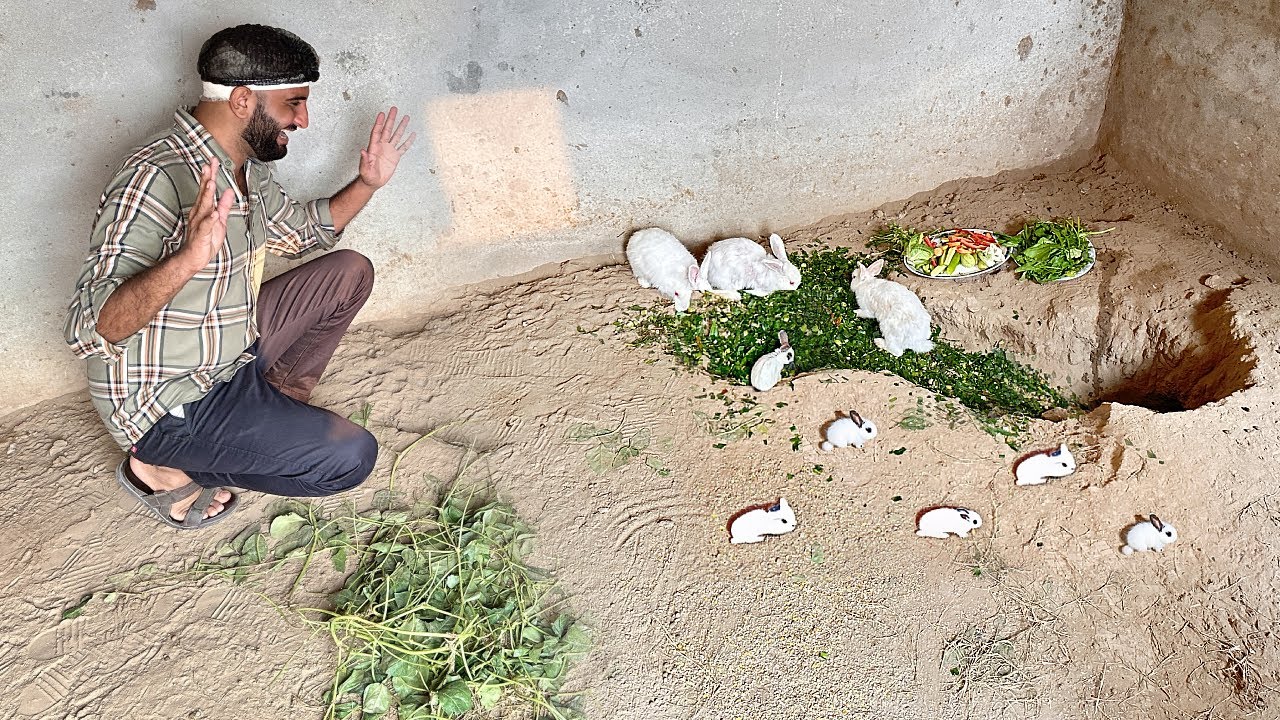 Rabbits Ny Surprise De Diya itna Ziada Bachy Waaow😍