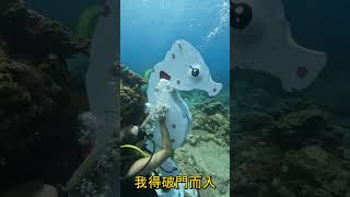 台灣綠島潛水