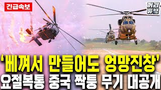 '무기 개발은 한국처럼만 해라’ 원형보다 뛰어난 수리온·LAH