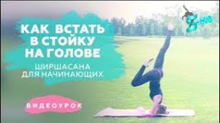 Как встать в стойку на голове. Фитнес ТВ