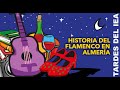 Tardes del iea el flamenco en  almera una historia desde el sxix hasta hoy