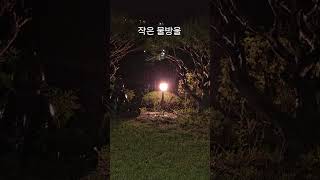 빗속에서 숨을 쉬다 #비오는날 #정원브이로그 #6월의정원 #여름비 #잔잔한풍경 #빗소리 #감성숏츠 #자연의소리