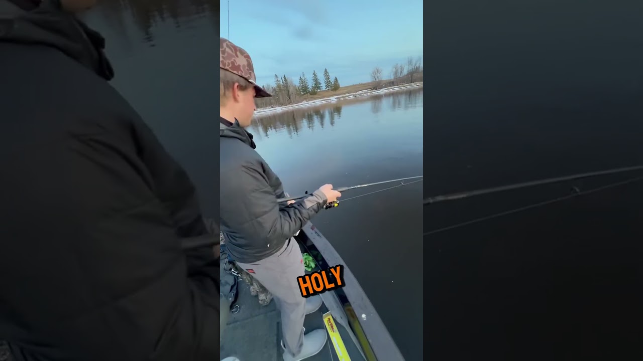 Light. Sensitive. Powerful.Trika 6X wins again.