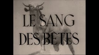 Blood of the Beasts — Ultra-Realism