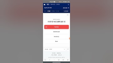 Using Naver Korean Dictionary Today