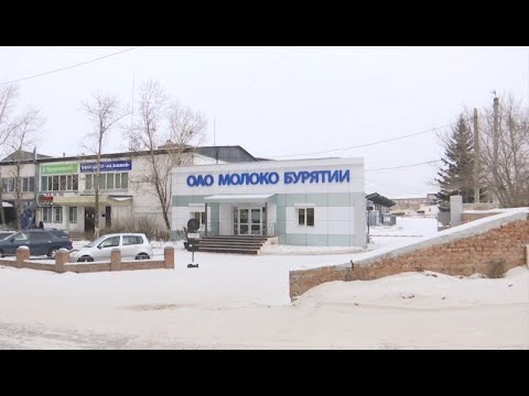 «Молоко Бурятии» может