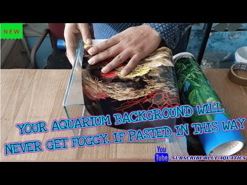 Video: How To Glue The Background Into The Aquarium