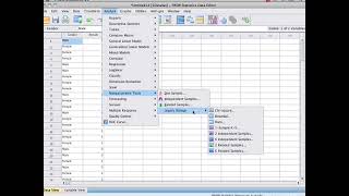 SPSS Video   8 Hypothesis Test for a Sample Proportion