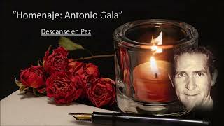 Homenaje a Antonio Gala ❤  Atardeció sin Ti - sunset without you 🎧 Voz Aína Neruda