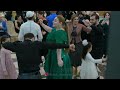 Самые лучшие танцы на свадьбе !! #песни #танцы #музыка #лезгинка #свадьба #жених #невеста#