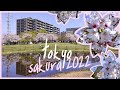 🌸Hanami con los últimos sakuras en Tokyo 2022🌸 | móvil update | Vlog 2 (mini)