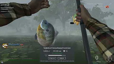 Fishing Planet #7: Трофейный Солнечник. Где, как и на что.