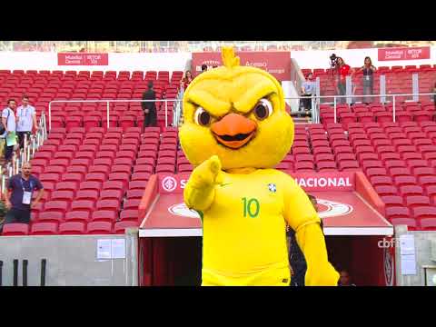 Estádio Beira-Rio recebe treino da Seleção Brasileira