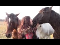 Gilliane senn et ses chevaux dcembre 2015