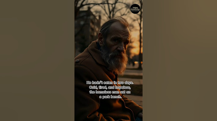 A Homeless Man Returned a Lost Wallet – What the Owner Did Next Changed His Life