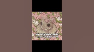 سورة آل عمران ايه ١٧١ #قرآن #قران_كريم