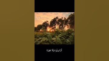 وَاللَّهُ يُرِيدُ أَنْ يَتُوبَ عَلَيْكُمْ” (سورة النساء – 27) #تلاوة #محمد_اللحيدان #القرآن_الكريم